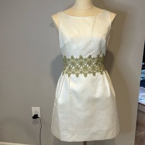 Erin (Erin fearherson) beautiful dress. Worn once.